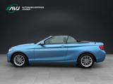 BMW 220i Cabrio Advantage | Leder | ECC - blaue BMW 220