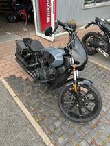 Indian Scout Rogue - INDIAN SCOUT ROGUE