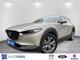 Mazda CX-30 2.0l "Selection" "X" "AHK" M HYBRID - Mazda CX-30 Gebrauchtwagen in Berlin