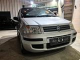 Fiat Panda 1.2 Zahnriemen neu/Panorama - gebrauchte Fiat Panda aus dem Jahr 2007