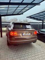Bentley Bentayga 6.0 W12 4WD- nur 52000km - Bentley Bentayga Gebrauchtwagen