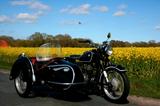BMW R26 - Angebote