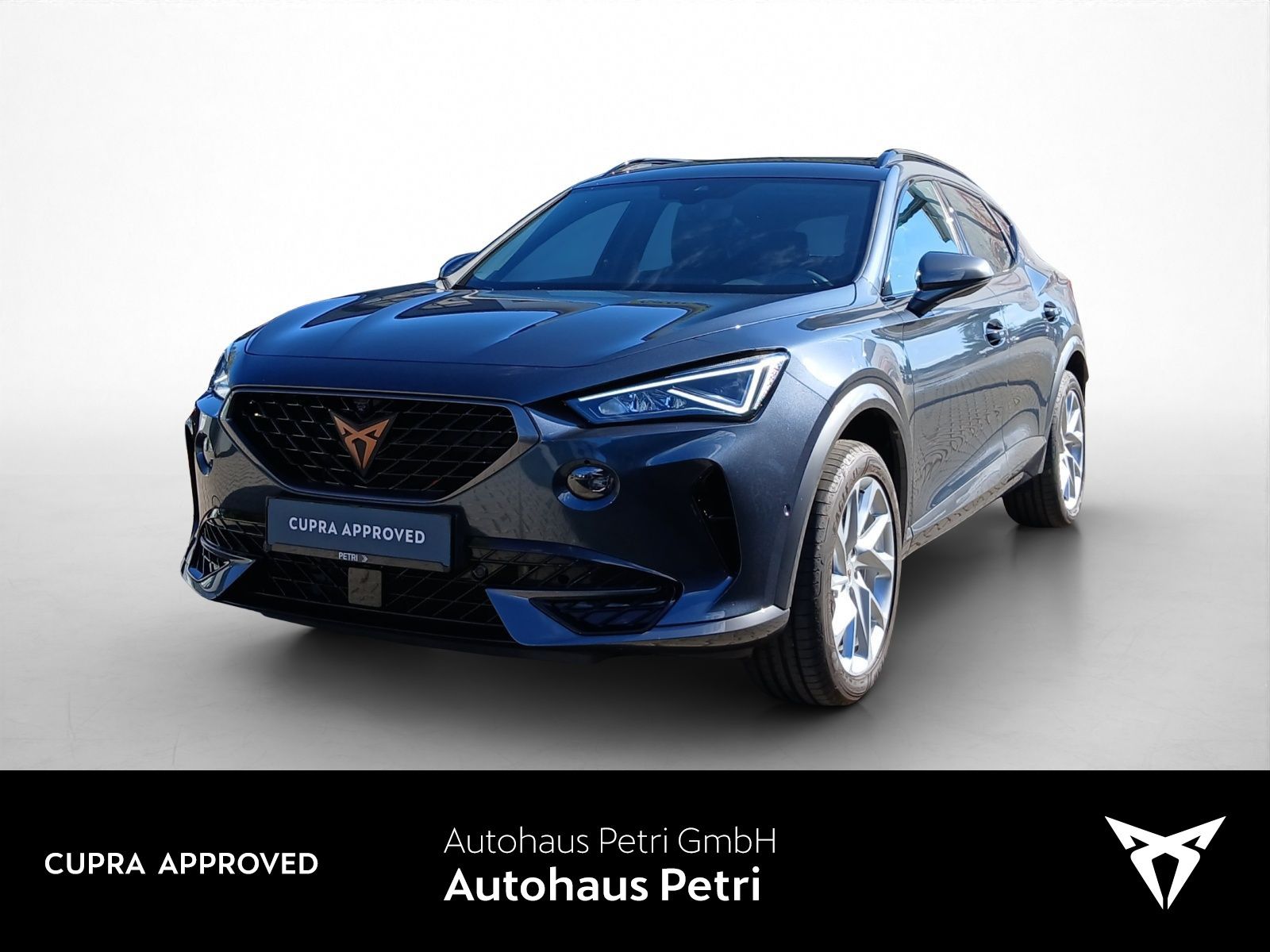 Cupra Formentor 1.5 TSI DSG 360 SHZ APP LED PDC foto 1