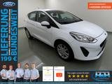 Ford Fiesta 1.1i Trend LED+Tempo+DAB+SHZ - Ford Fiesta: D