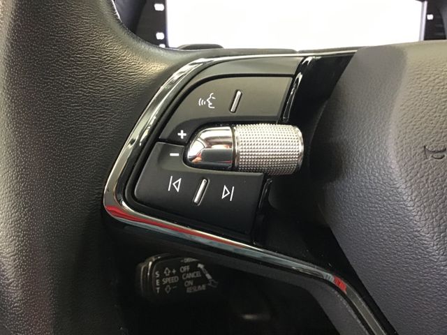 Fahrzeugabbildung Skoda Octavia Style 2.0TDI DSG/AHK/ACC/Navi/PDC/DAB