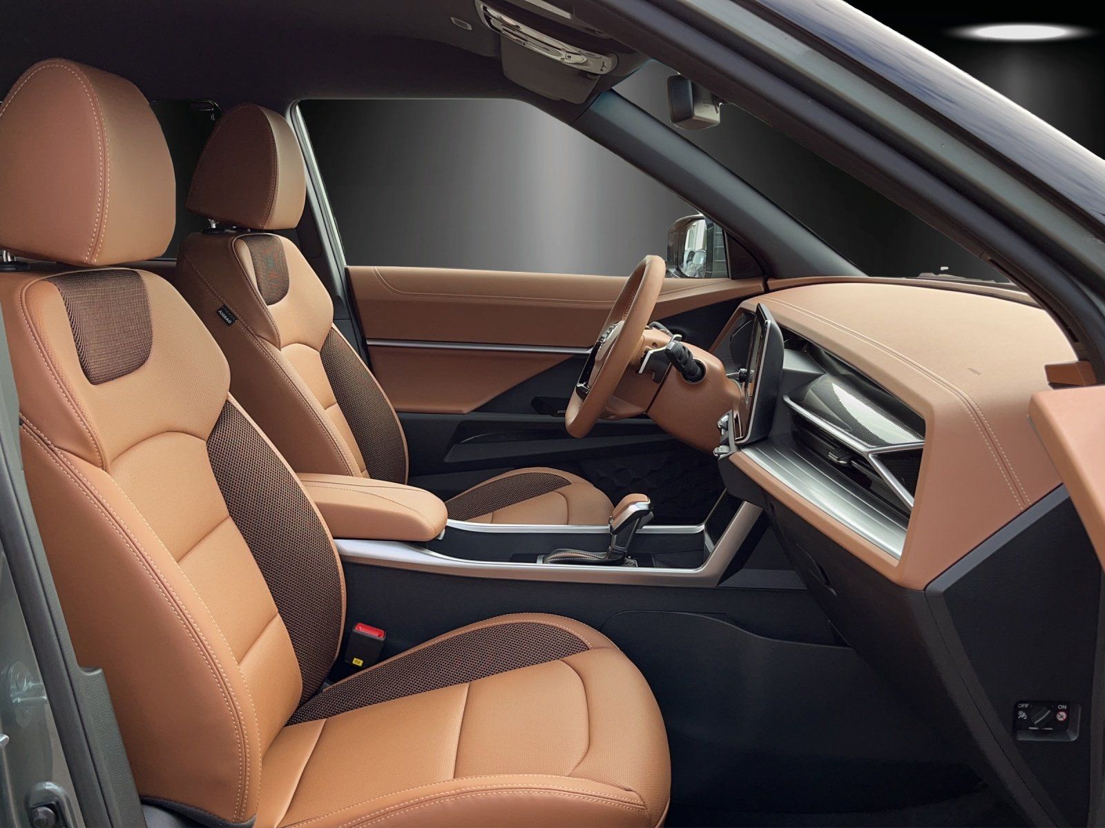 Fahrzeugabbildung Ssangyong Torres 1.5 T-GDI Aut. FOREST EDITION/CAM/LED/ACC