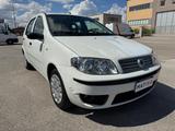 Fiat Punto Classic 1.3 MJT 16V 5 porte Dynamic - Fiat Punto mit Diesel-Antrieb: Classic