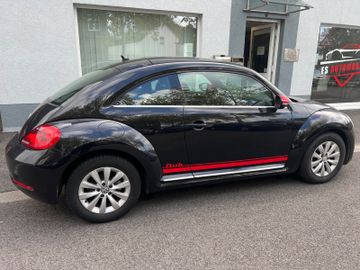 Volkswagen Beetle - 5