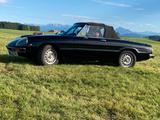 Alfa Romeo Spider - Alfa Romeo aus 1979