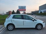 Fiat Punto 1.2 5 porte Lounge - gebrauchte Fiat Punto aus dem Jahr 2013