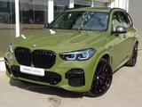 BMW X5 M50i Sonderlack 22" Laser Carbon Diama Bowers - BMW X5: Grün
