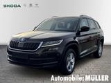 Skoda Kodiaq Ambition 1.4 TSI Navi Sperrdiff. Apple Ca - Skoda Kodiaq AMBITION mit Benzin-Antrieb