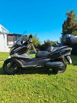 Honda Zuverlässiger Honda SW-T 400 Roller mit ABS - HONDA ROLLER 400