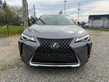Lexus UX 250 h - Lexus aus 2021