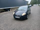 Fiat Punto 1.4 Benzin - Fiat Punto aus 2025