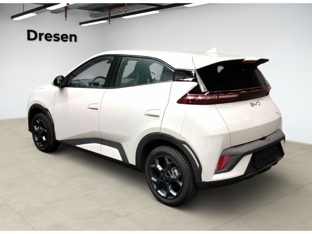 BYD DOLPHIN SURF