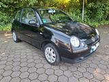 Volkswagen Lupo 1.0l Windsor 50ps - Volkswagen Lupo in Wuppertal