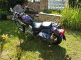 Yamaha Virago XV535 - kleiner Chopper - YAMAHA 1995 VIRAGO 535