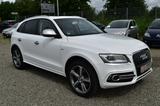 Audi Q5 3.0 TFSI S tronic quattro*LMF*TÜV:09/2026* - Audi Q5 aus 2013 mit Benzin-Antrieb: Geländewagen
