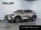 Lexus NX 350h Business Line *Navi*CarPlay*LED*CAM*TWA* - Lexus NX 350h Tageszulassungen