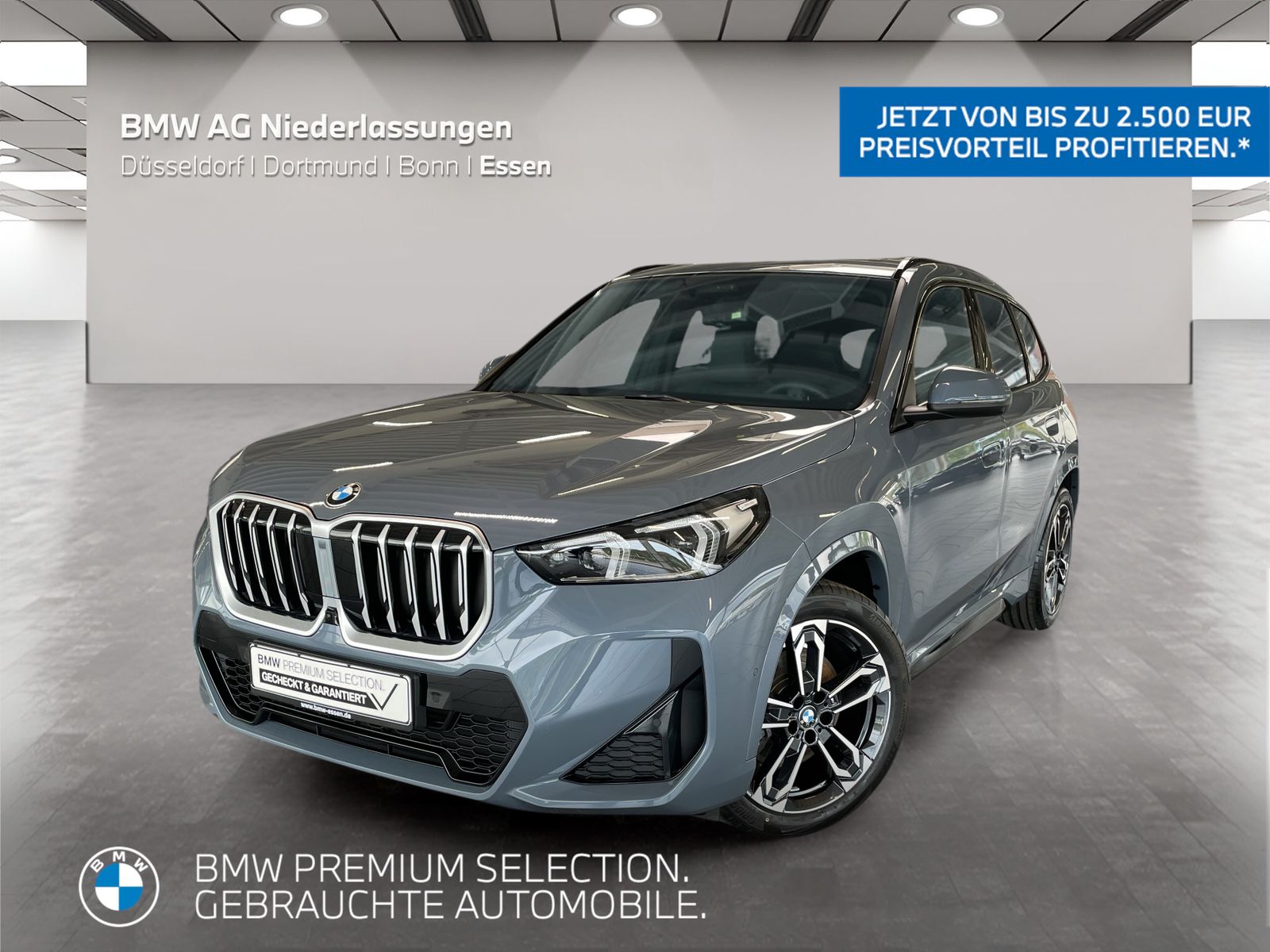 BMW X1 sDrive20i M Sport Driv.Assist.Prof Harman/K