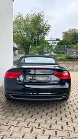 Audi A5 1.8 TFSI Cabriolet - - Audi A5 aus 2011: Cabrio