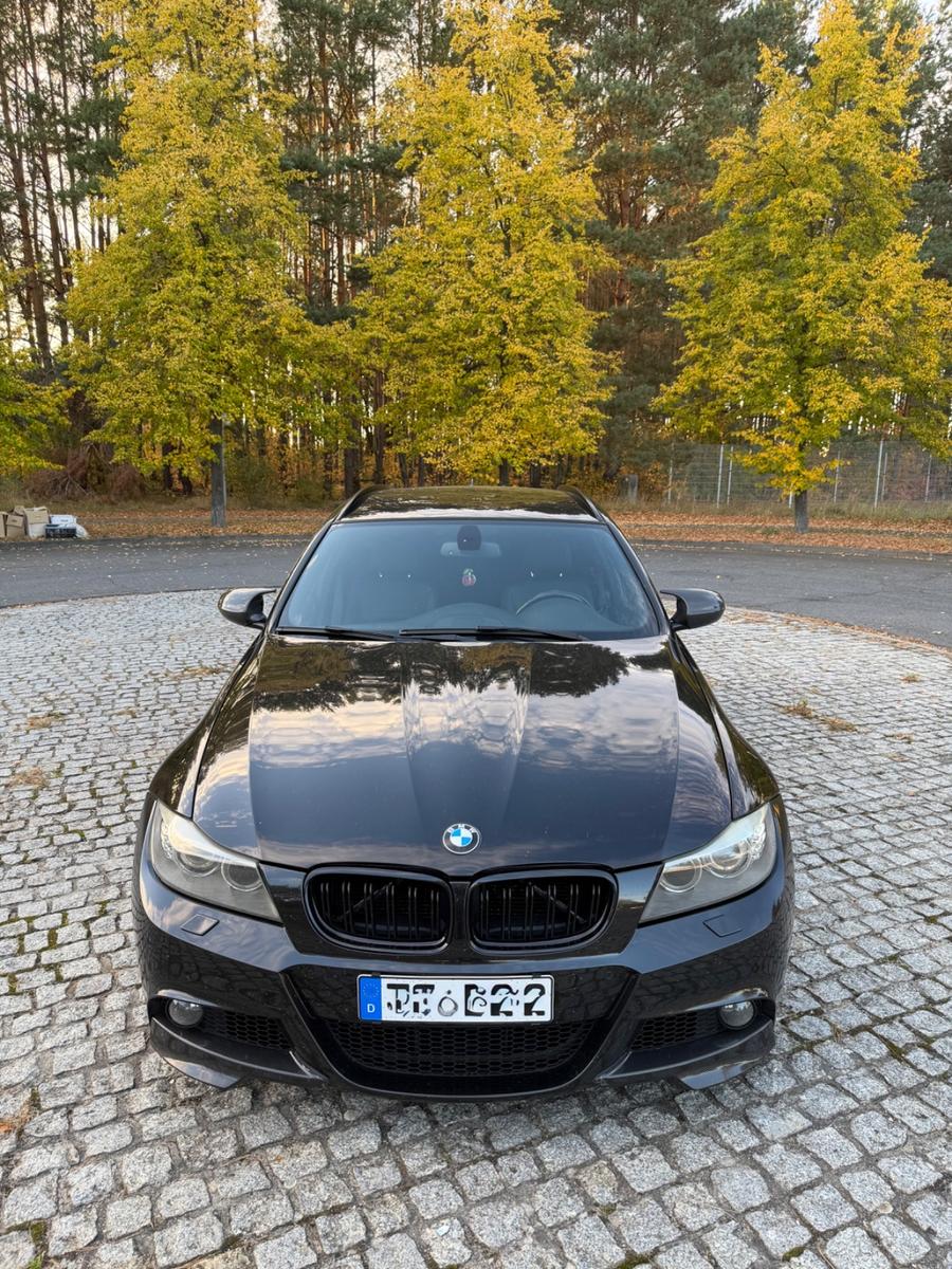 BMW 318 2010 — rear view