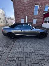 Audi A5 2.0 TDI 140kW quattro Cab. - - Audi A5 mit Diesel-Antrieb: Cabrio, 2.0