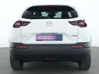 Mazda MX-30 - Vorschau Bild 7