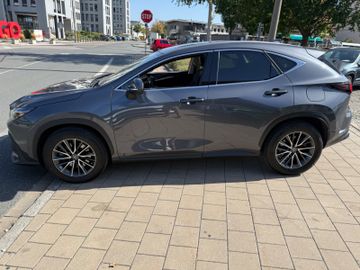 Lexus NX 450h - 12