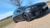 Kia pro_cee'd / ProCeed 1.6 T-GDI DCT GT GT - Kia pro cee'd / ProCeed aus 2023