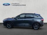 Ford Kuga Hybrid ST-Line X - Ford Kuga ST-Line mit Diesel-Antrieb
