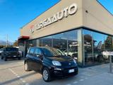 Fiat Panda 1.2 Pop 69cv - Fiat Panda Cabrio Gebrauchtwagen