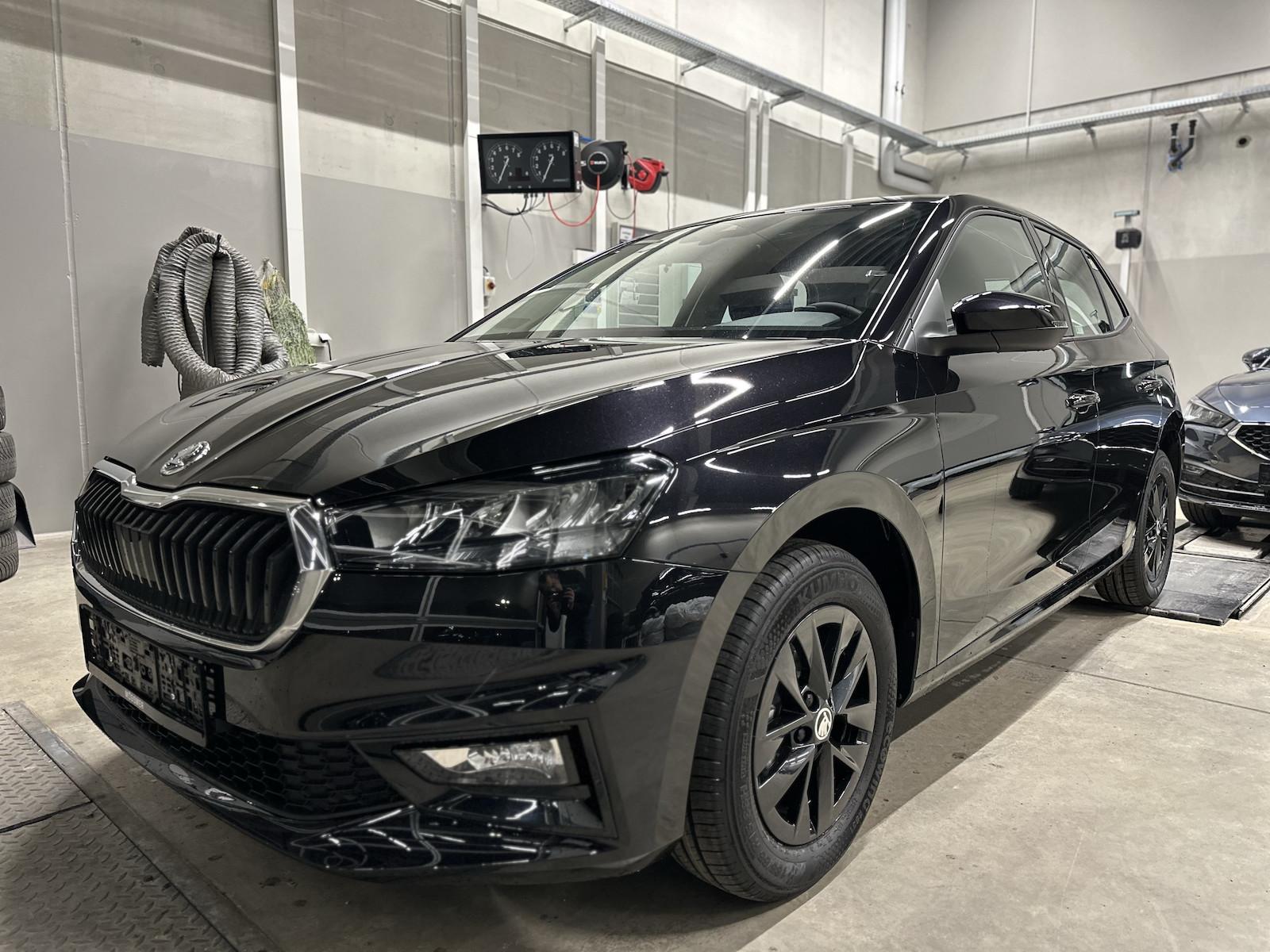 Skoda Fabia1,0TSI 130 Jahre SHZ Kamera Alu HAGEL