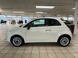 Fiat 500 Pop Star/KLIMA/PANORAMA/LENKRADH. - Fiat 500: Star