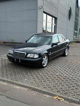 Mercedes-Benz Mercedes w202 c220 Cdi Esprit Champion Edi... - gebrauchte Mercedes-Benz C 220 aus dem Jahr 1998