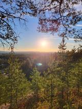 Ford Mustang - gebrauchte Ford Roadster