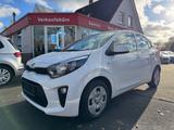 Kia Picanto Edition 7 1.0 SHZ LHZ BT Allwetter - Kia Picanto in Oldenburg