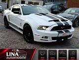 Ford Mustang Coupé 3.7 V6 SHELBY-OPTIK BiXen*Leder*30 - Ford: Shelby