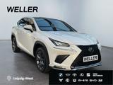 Lexus NX 300h E-FOUR F SPORT *HUD*360*Leder*M. Levinso - Lexus aus 2019