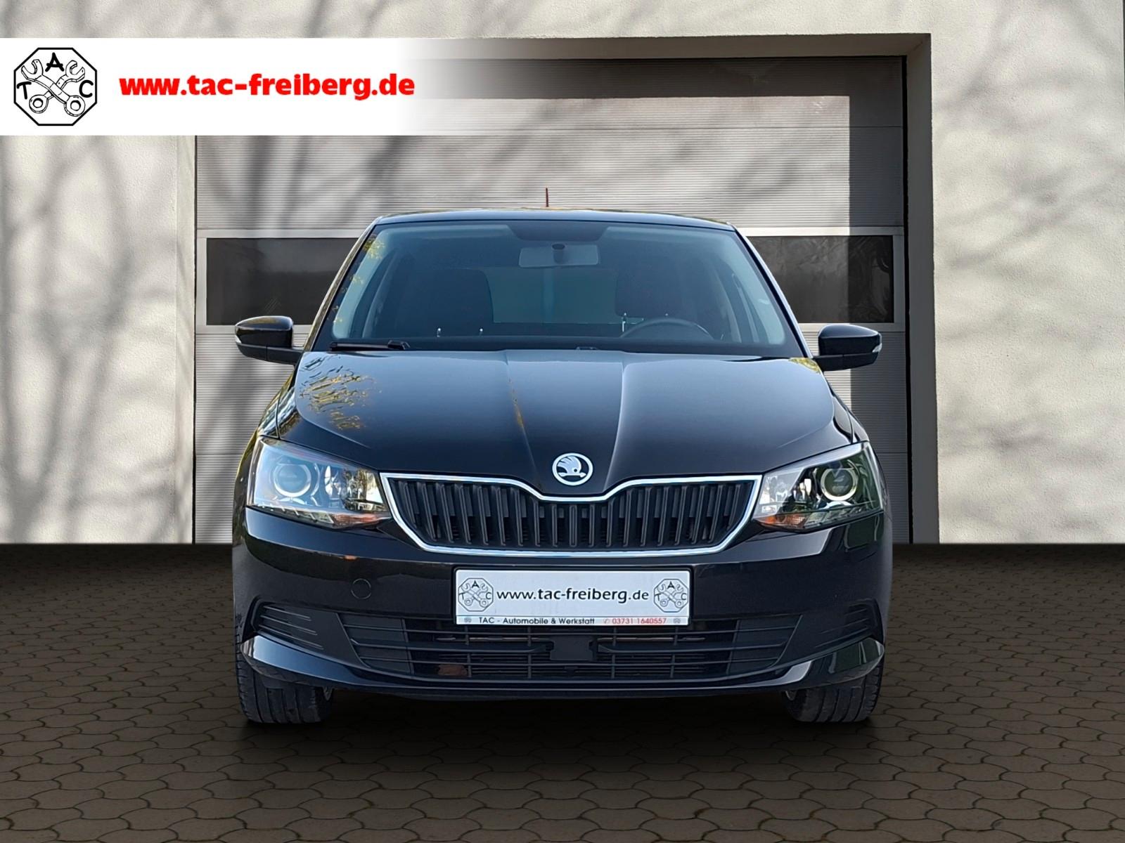 Skoda Fabia Combi Ambition 1.0TSI/95PS