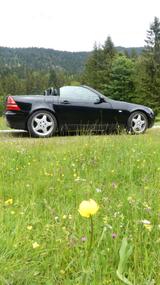 Mercedes-Benz SLK 200 - Männer- Cart - Mercedes-Benz Mae
