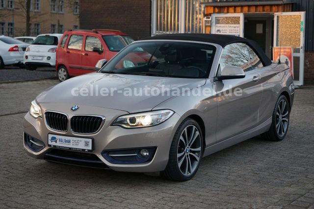 BMW 228i Cabrio M-Sport Paket-LED-Navi-Leder-PDC...