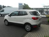 Ford EcoSport Trend - weiße Ford EcoSport