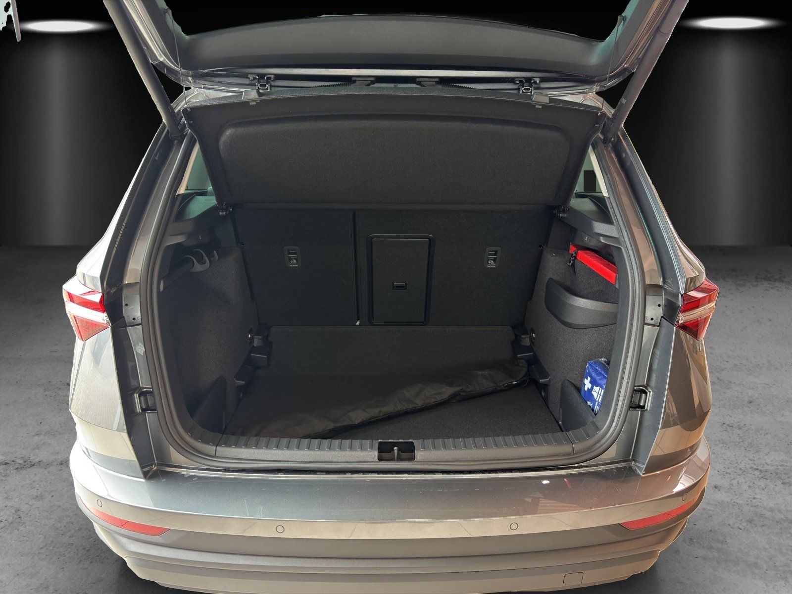 Fahrzeugabbildung SKODA Karoq Tour 1,5 TSI 110 kW DSG