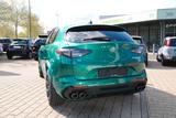 Alfa Romeo Stelvio Quadrifoglio MY24 AKRAPOVIČ, NP:115.040 - Alfa Romeo: Grün