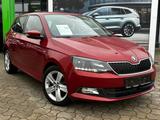Skoda Fabia 95PS 5-Gang*GRA*PDC*Climatronic*Euro6 - Skoda Fabia: Ps