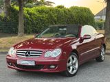 Mercedes-Benz CLK 320 CDI Cabrio Aut. *1.Hand*Scheckheft*Navi - Mercedes-Benz aus 2009: Cabrio, Clk