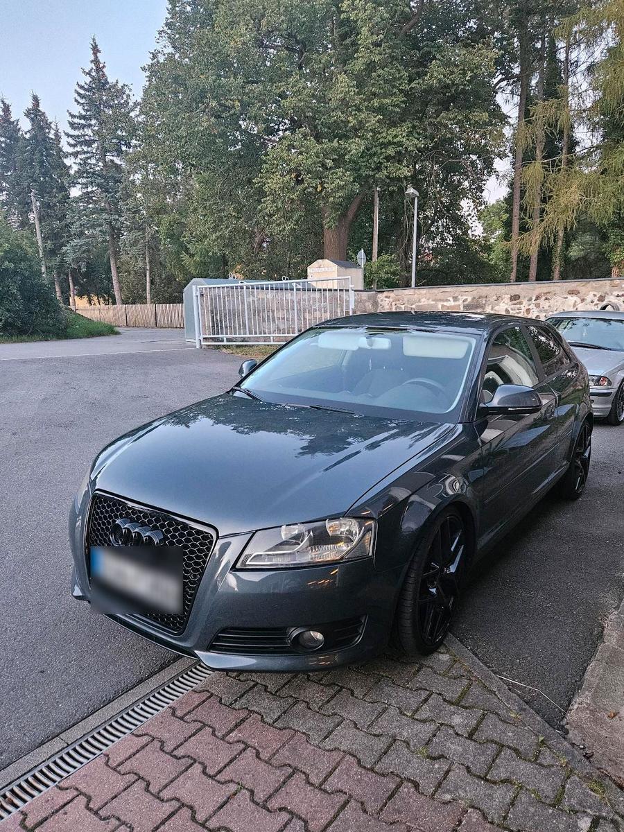 Audi A3 2008 — вигляд ззаду