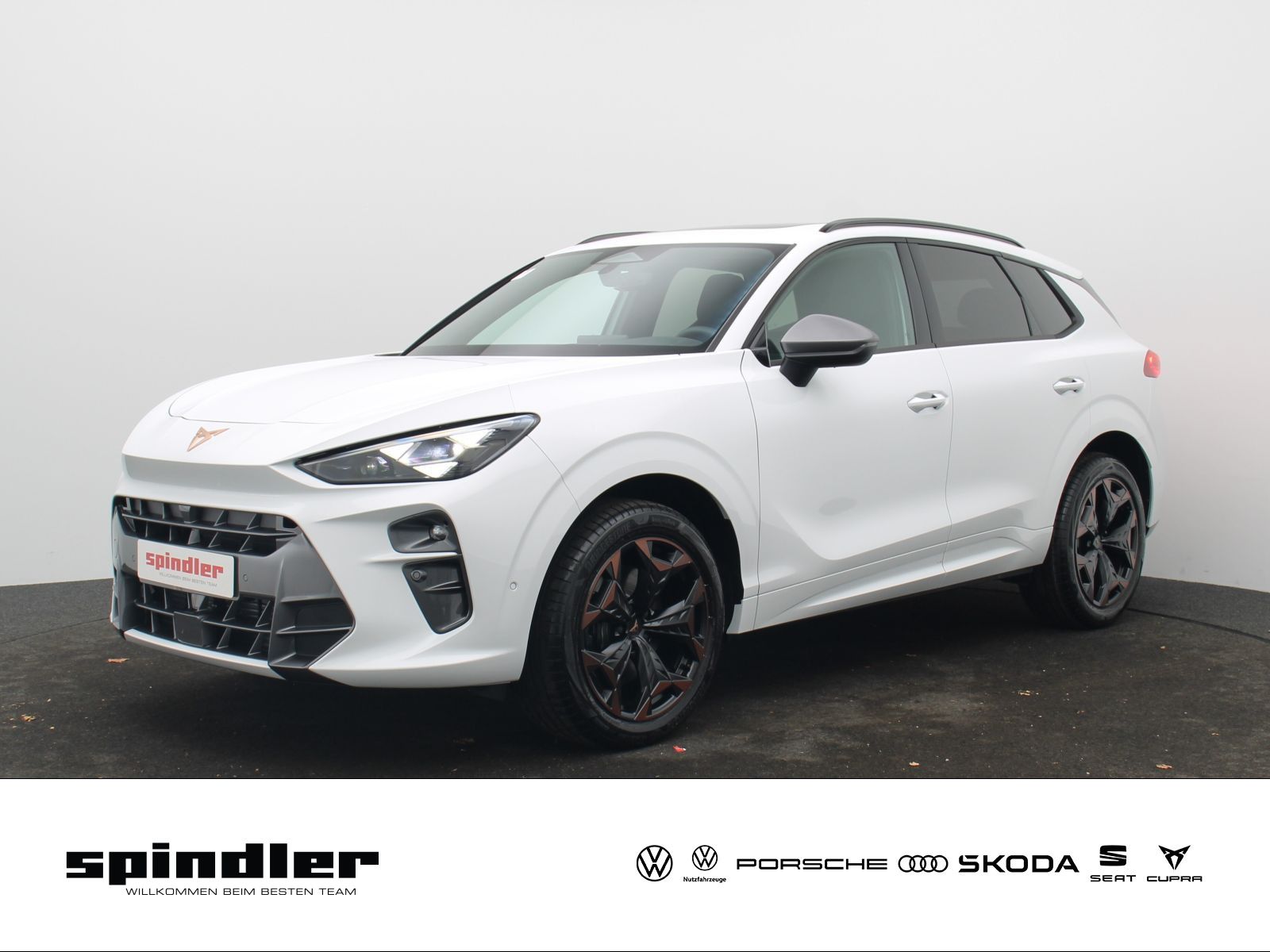 Cupra Terramar VZ 2.0 TSI 265 PS ++sofort verfügbar++